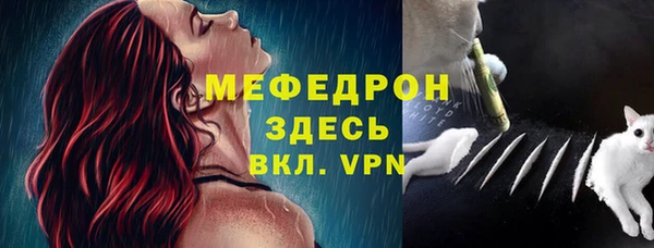 эйфоретик Богданович