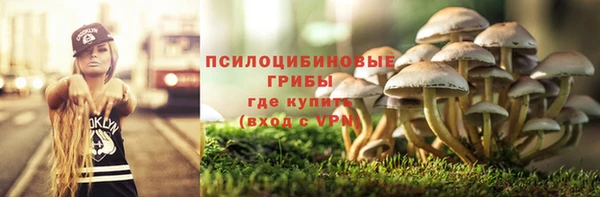 соль ск Богородск