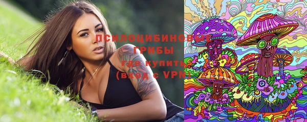 мет Вуктыл
