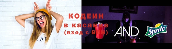 соль ск Богородск