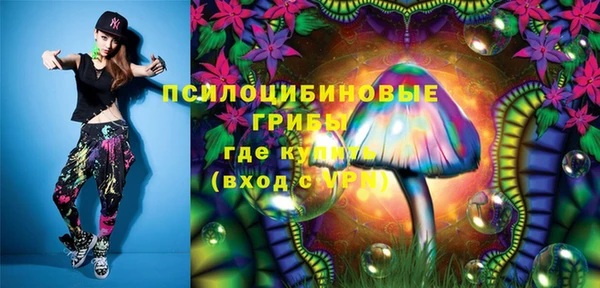 эйфоретик Богданович