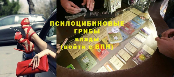 эйфоретик Богданович